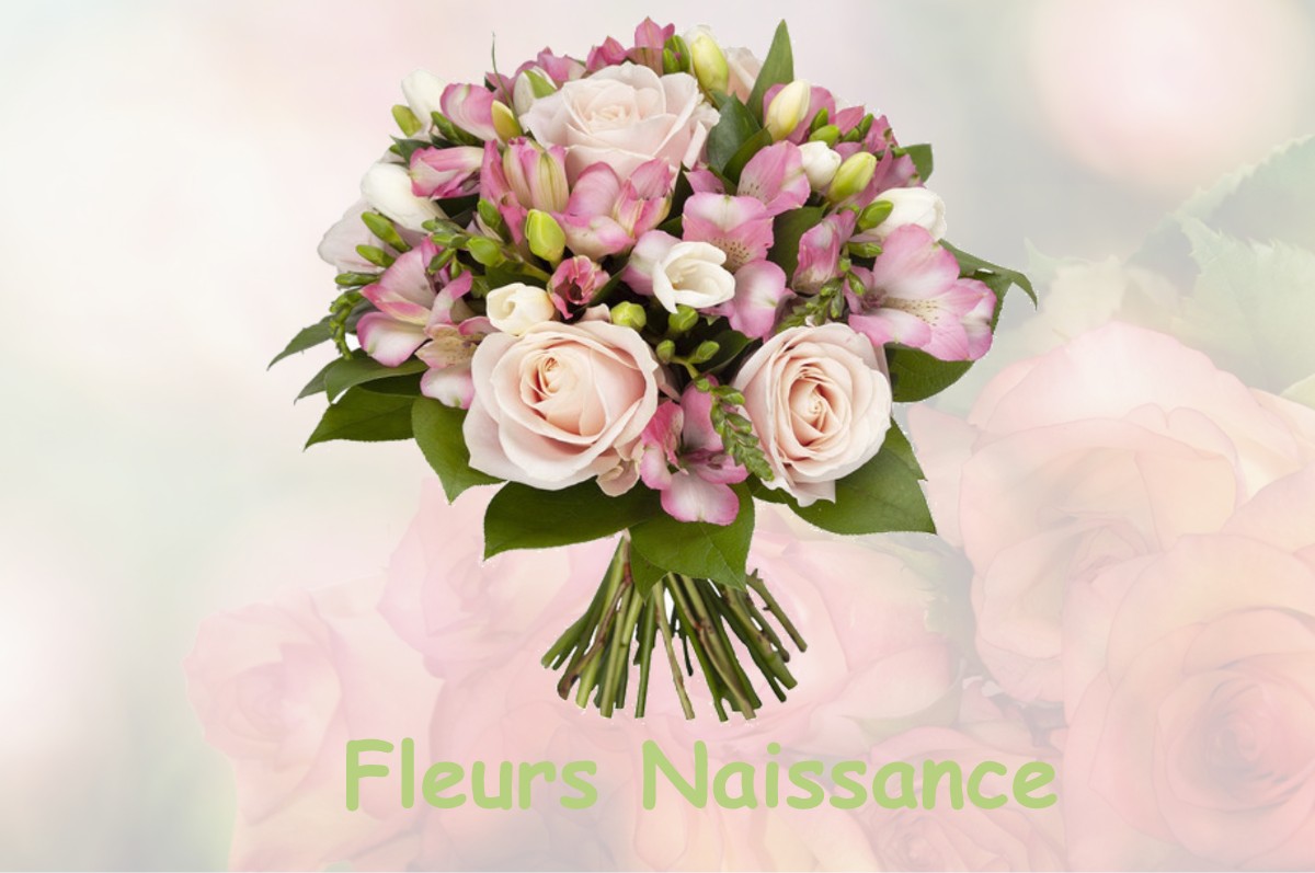 fleurs naissance LA-NEUVILLE-AUX-BOIS