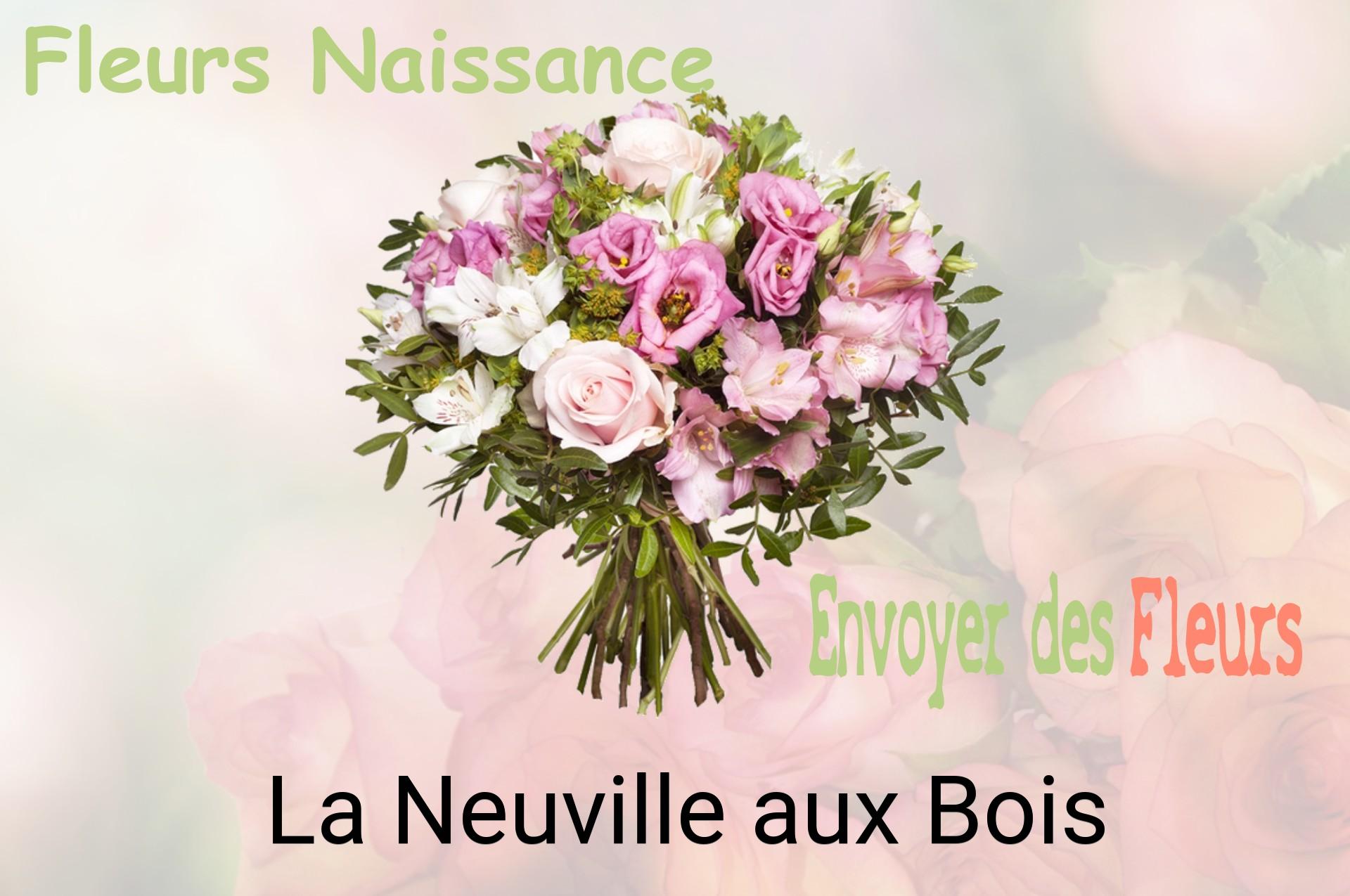 Bouquet de fleurs de naissance livré à La Neuville-aux-Bois